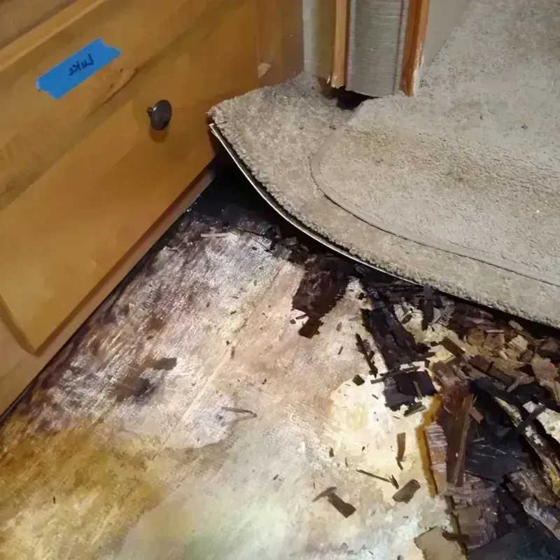 Wood Floor Water Damage in Woodhaven, MI